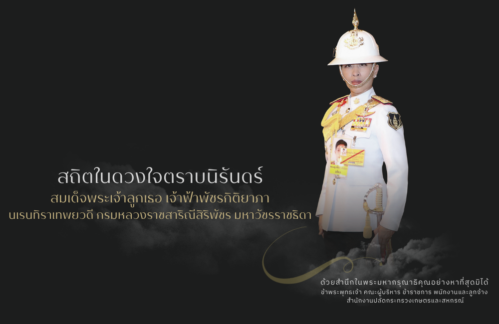 สมเด็จพระเจ้าลูกเธอ เจ้าฟ้าพัชรกิติยาภา สิ้นพระชนม์