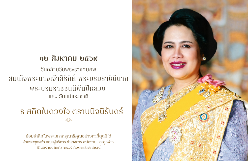 12 สิงหาคม 2569