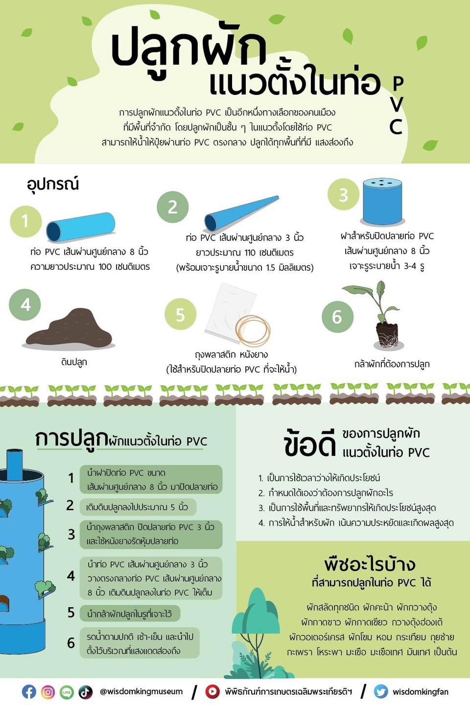 ปลูกผักแนวตั้งในท่อ