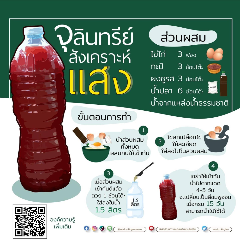 จุลินทรีย์สังเคราะห์แสง.