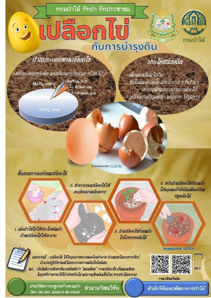 ประโยชน์จากเปลือกไข่