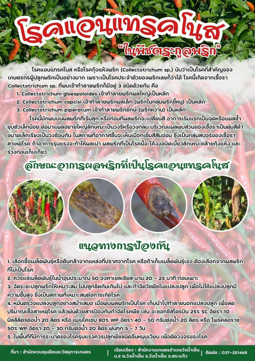 โรคแอนแทรคโนส