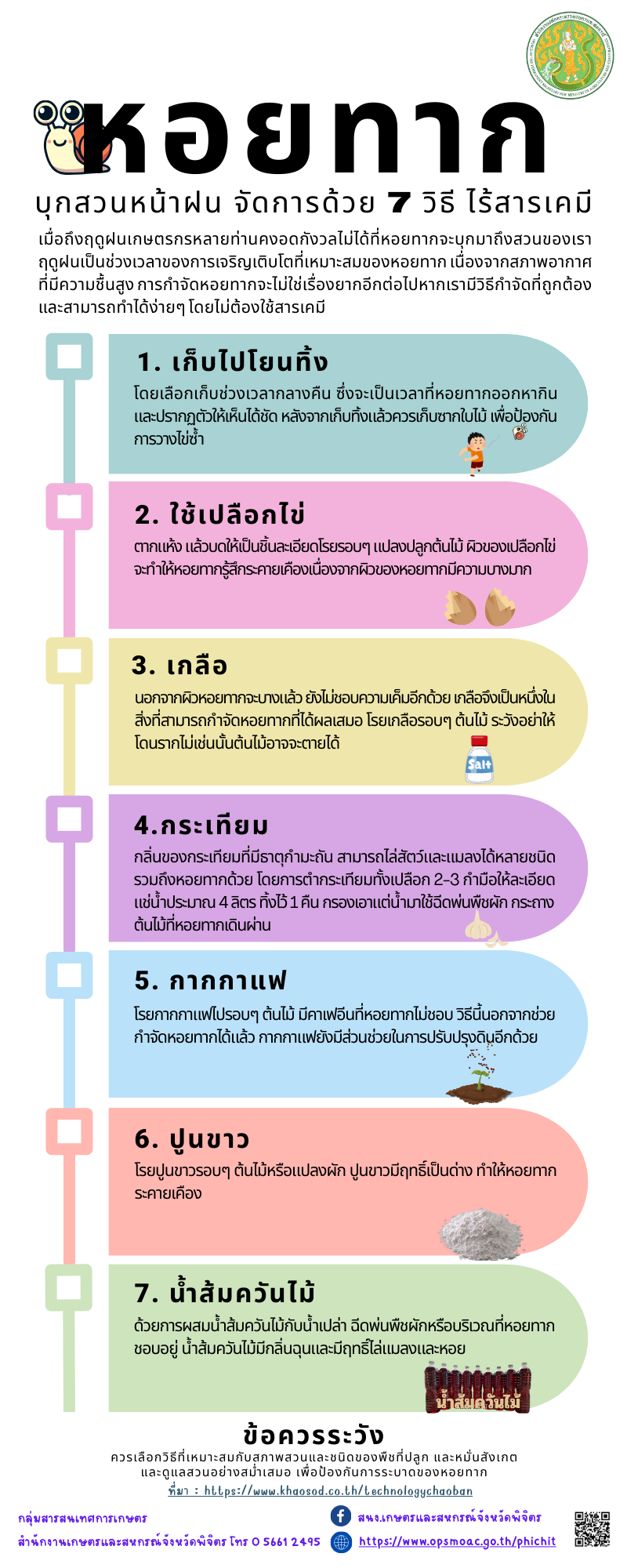 หอยทากบุกสวนหน้าฝน จัดการด้วย 7 วิธี ไร้สารเคมี