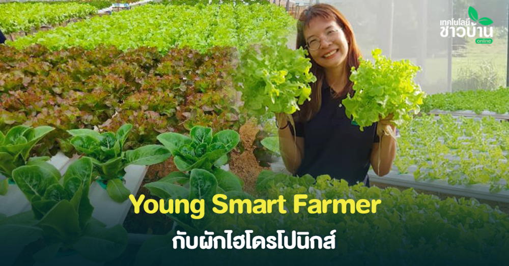 YoungSmartFarmerจากสาวเมืองกรุงมุ่งสู่บ้านเกิด