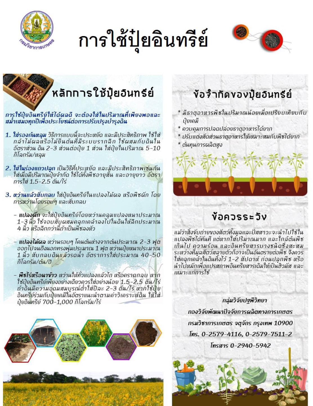 การใช้ปุ๋ยอินทรีย์ ให้ได้ผลดี