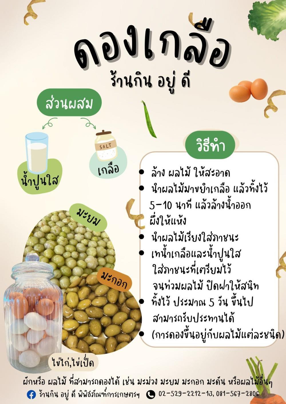 ดองเกลือ.
