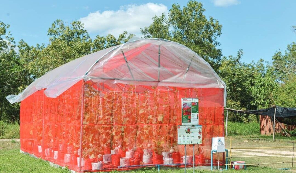 โรงเรือนเกษตรอัจฉริยะ