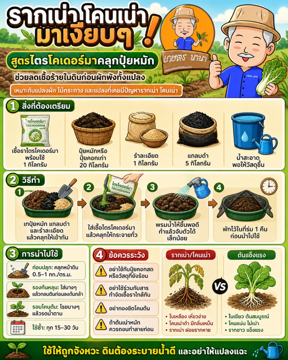 รากเน่าโคนเน่ามาเงียบๆ!สูตรไตรโคเดอร์มาคลุกปุ๋ยหมัก