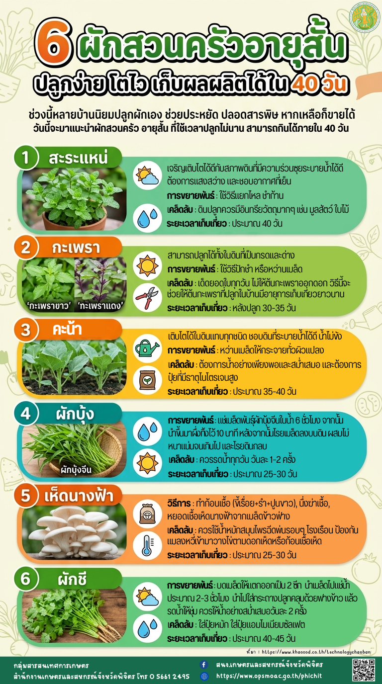 6พักสวนครัวอายุสั้น