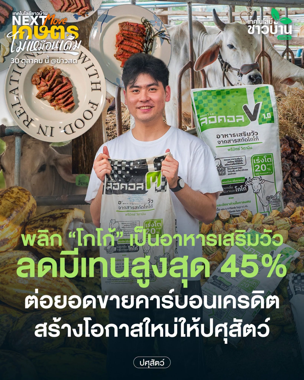 เปลี่ยนโกโก้เป็นอาหารเสริมวัว