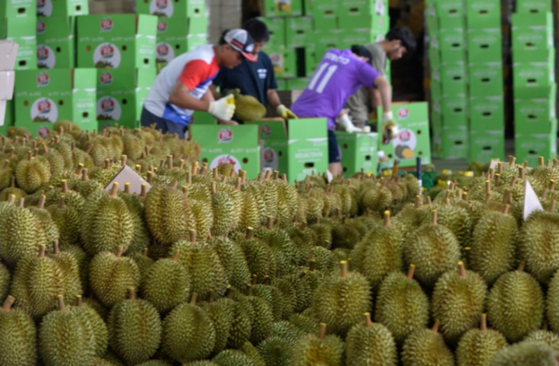 泰媒：贸易商严重亏损！泰国榴莲遭遇“价格战”危机