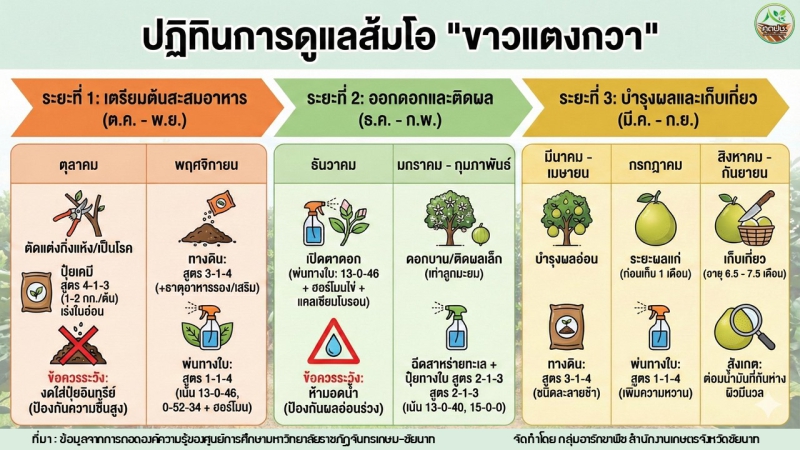 ปฏิทินการดูแลส้มโอขาวแตงกวา