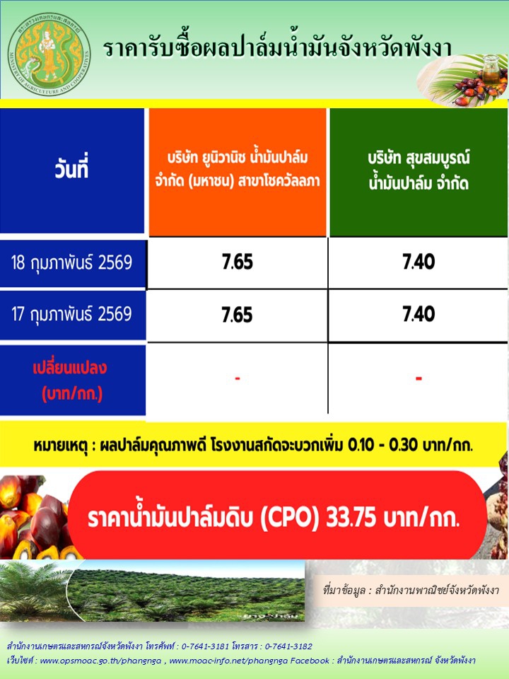 ราคารับซื้อผลปาล์มน้ำมันจังหวัดพังงา
