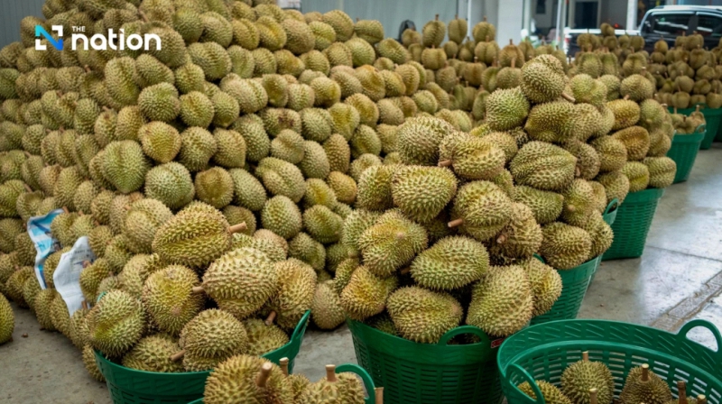 Fresh durian exports jump 67% as Thailand tightens China checks