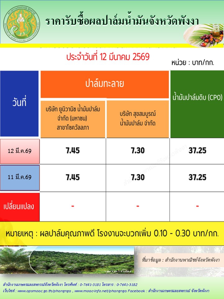 ราคารับซื้อผลปาล์มน้ำมันจังหวัดพังงา
