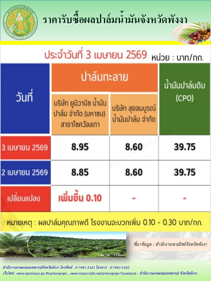 ราคารับซื้อผลปาล์มน้ำมันจังหวัดพังงา