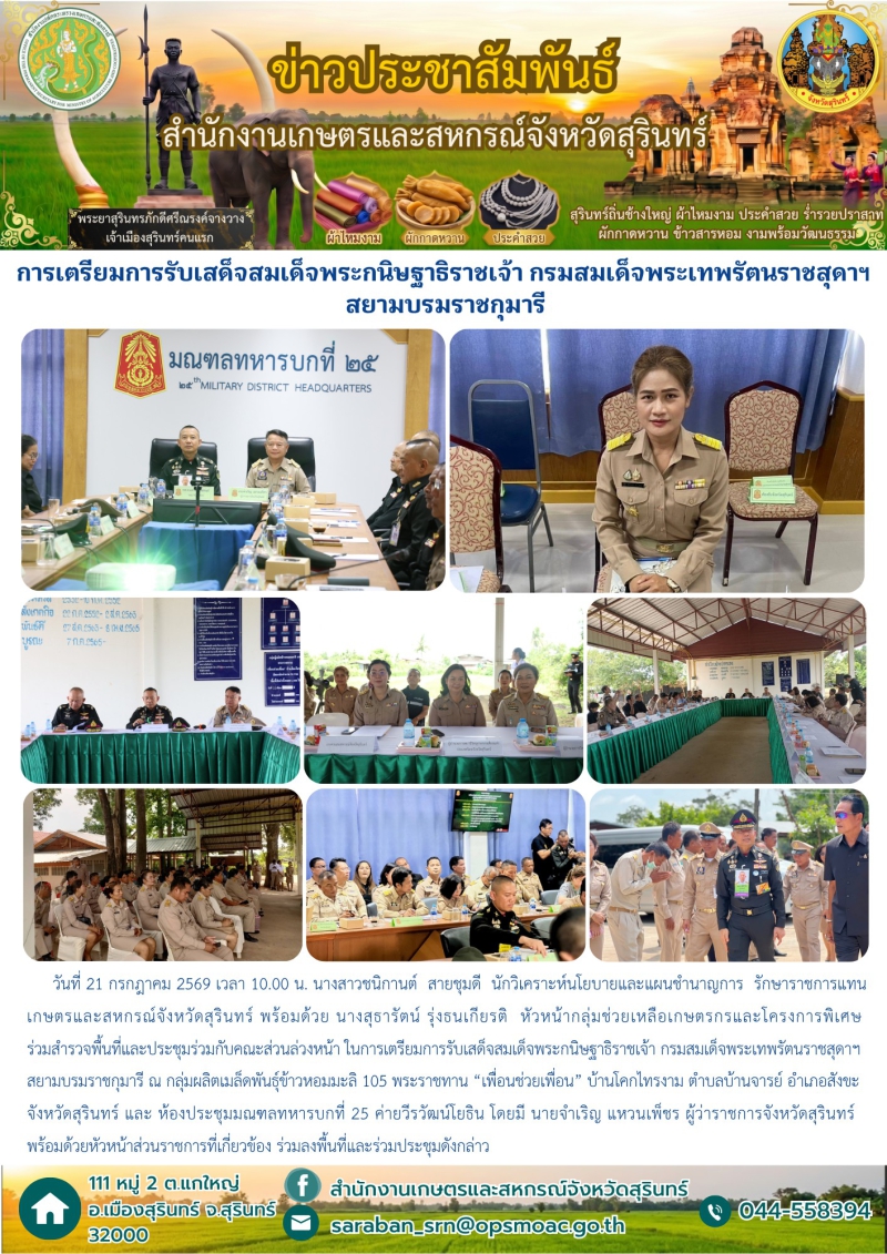 การเตรียมการรับเสด็จสมเด็จพระกนิษฐาธิราชเจ้า