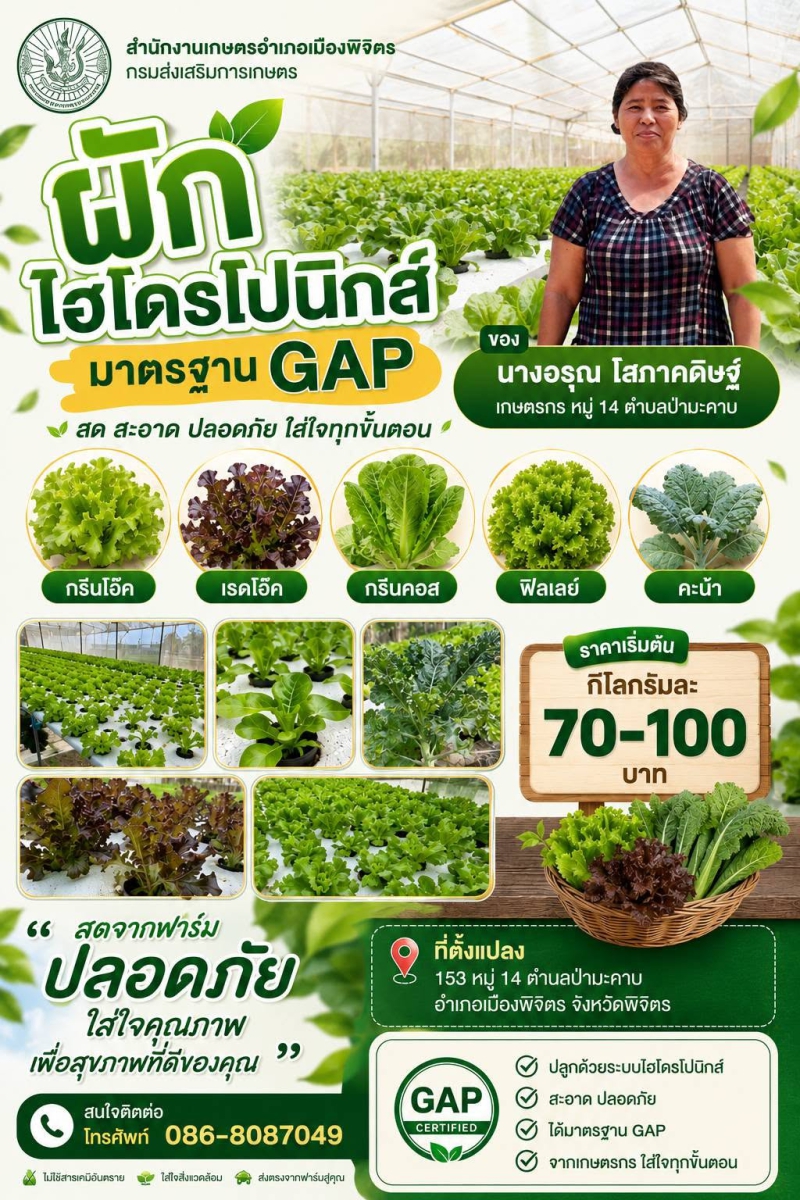 ผักไฮโดรโปนิกส์ มาตรฐาน GAP