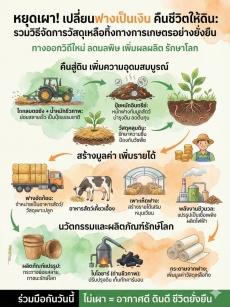 หยุดเผา เปลี่ยนฟางเป็นเงิน คืนชีวิตให้ดิน