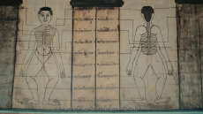 ตอนที่5นวดไทยตัวแทนมรดกวัฒนธรรมที่จับต้องไม่ได้ของมนุษยชาติ