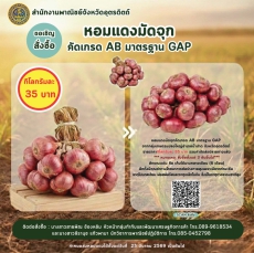 ขอเชิญชวนทุกท่านร่วมอุดหนุนหอมแดงมัดจุก