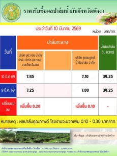 ราคารับซื้อผลปาล์มน้ำมันจังหวัดพังงา
