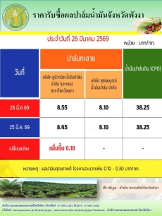 ราคารับซื้อผลปาล์มน้ำมันจังหวัดพังงา