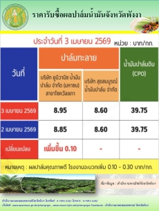 ราคารับซื้อผลปาล์มน้ำมันจังหวัดพังงา