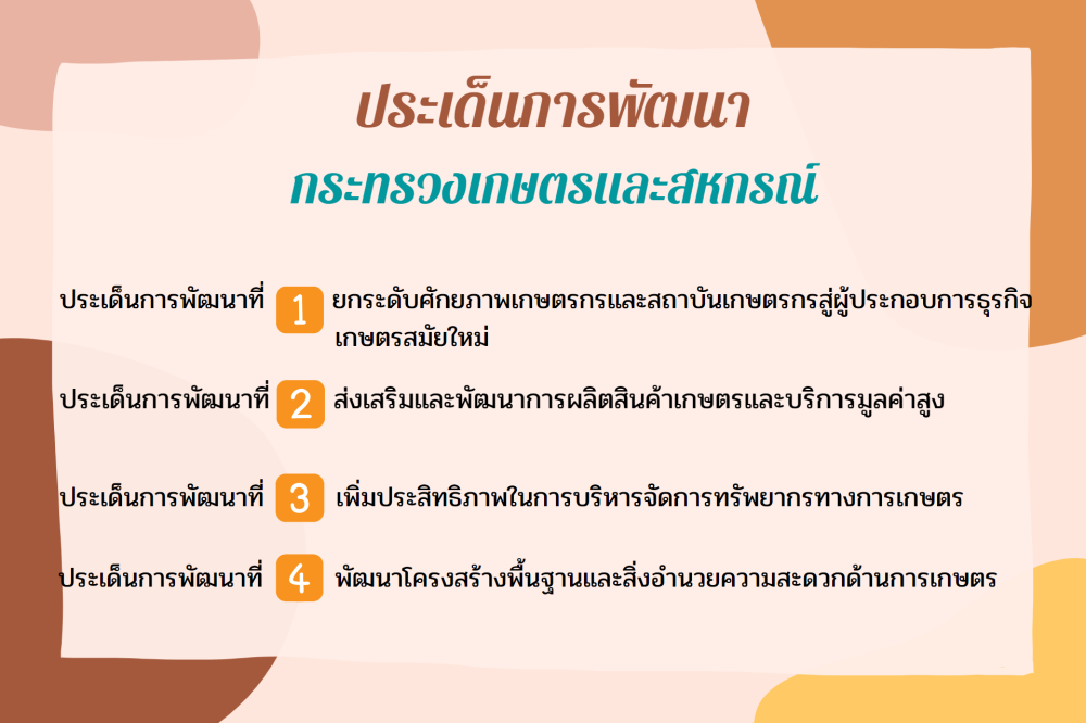 ประเด็นการพัฒนา