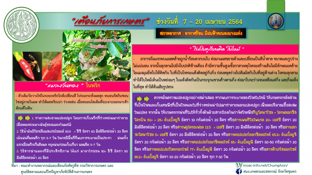 ข้อมูลเตือนภัยด้านการเกษตร ช่วงวันที่ 7 - 20 เมษายน 2564