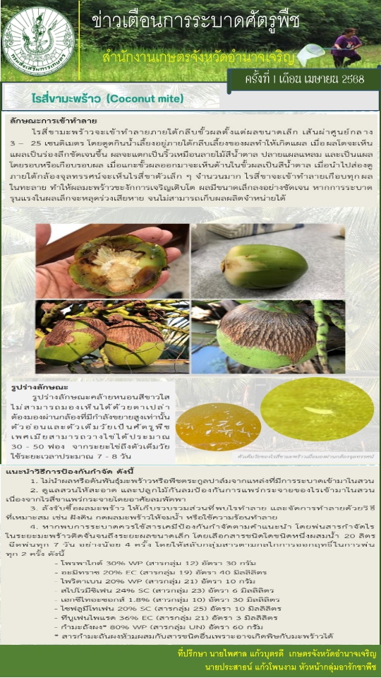 เตือนภัยเกษตรด้านพืช เดือนเมษายน 2568