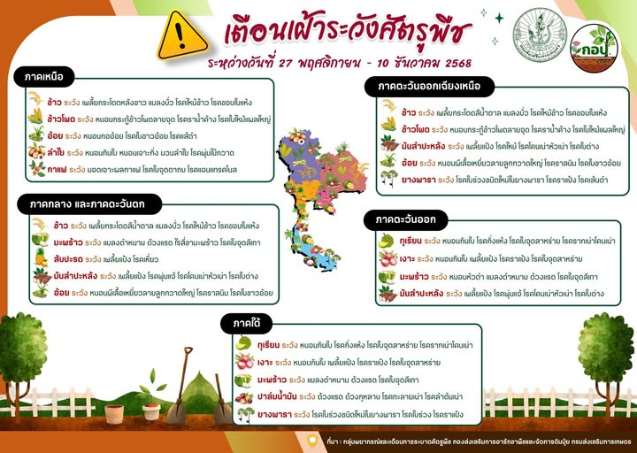 เฝ้าระวังการระบาดศัตรูพืช