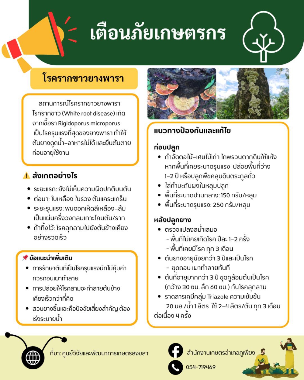 การระบาดของ“โรคและแมลงศัตรูพืช”