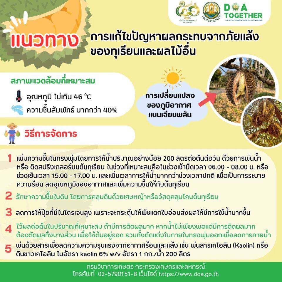 แนวทางแก้ไขปัญหาผลกระทบจากภัยแล้ง