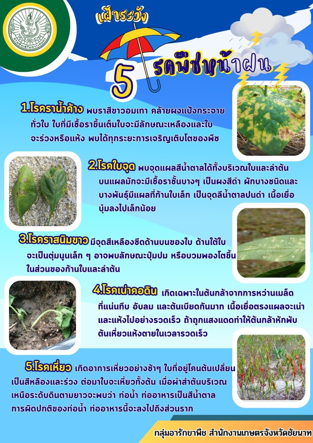 เตือนภัย ! 5 โรคพืชหน้าฝน