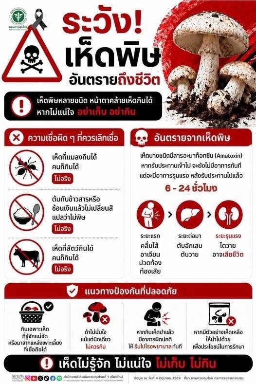 เตือนให้ระวัง เห็ดพิษ อันตรายถึงชีวิต