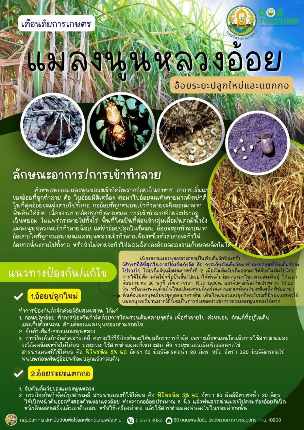 เตือนการเฝ้าระวัง