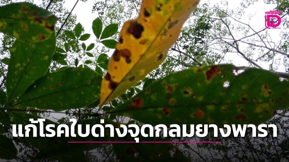 เตือนการเฝ้าระวัง