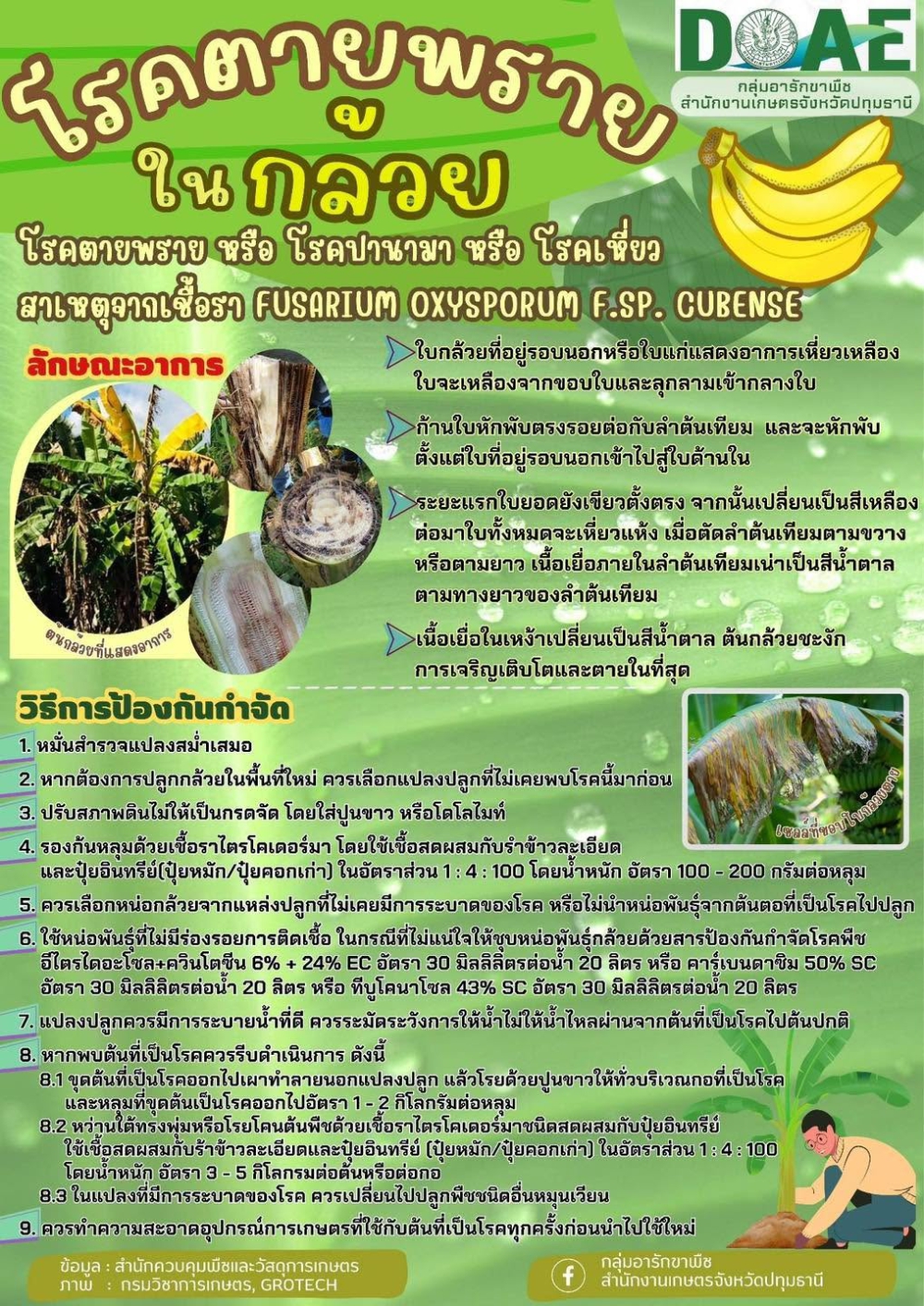 เตือนการเฝ้าระวัง