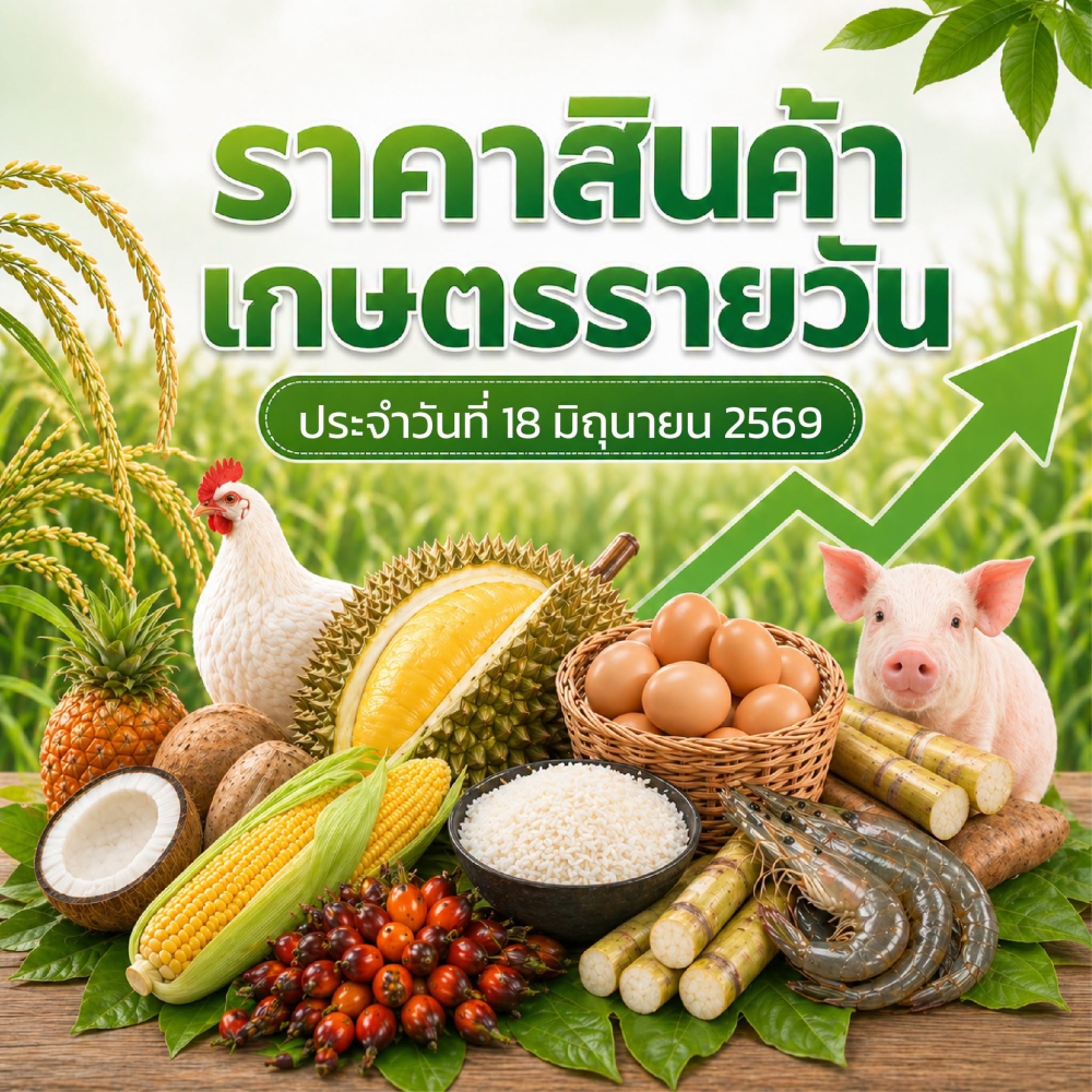 ราคากลาง หรือ ตลาดสำคัญ ประจำวันที่ 18 มิถุนายน 2569