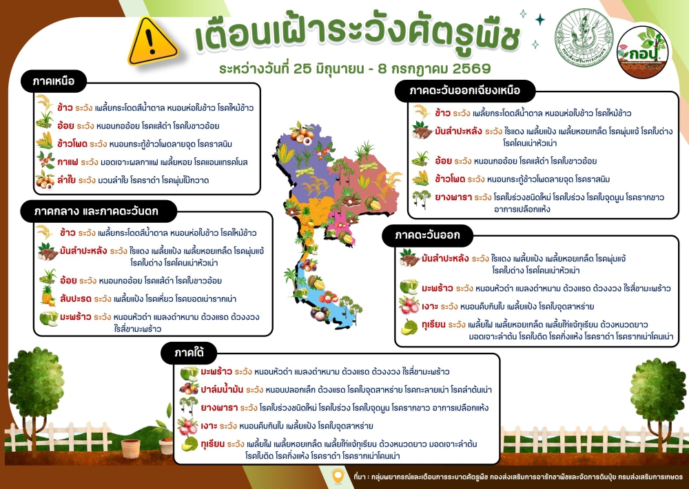 เตือนเฝ้าระวังศัตรูพืชประจำสัปดาห์