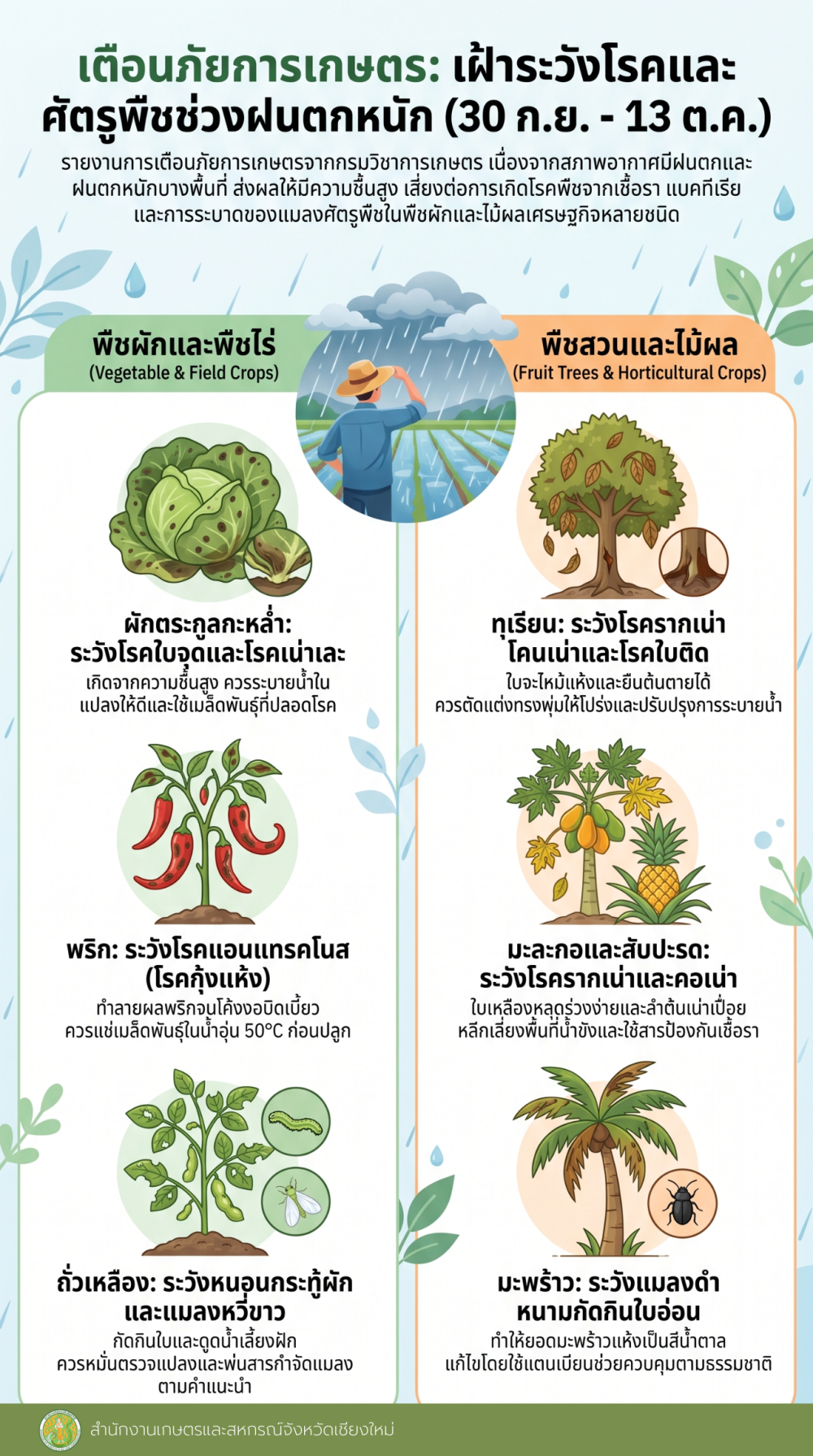 เตือนภัยการเกษตร 30 ก.ย. - 13 ต.ค.